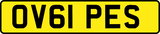 OV61PES