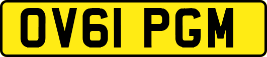 OV61PGM
