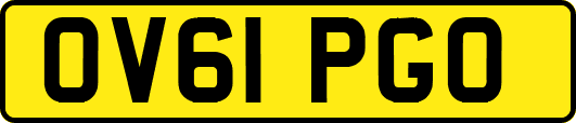 OV61PGO