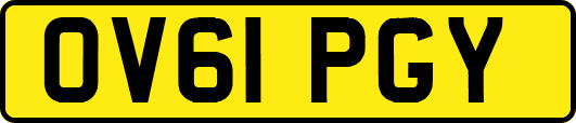 OV61PGY