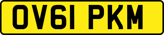 OV61PKM