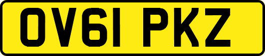 OV61PKZ