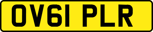 OV61PLR