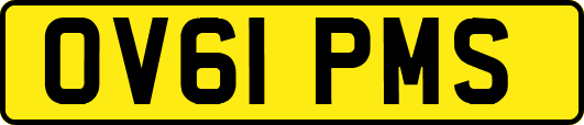 OV61PMS