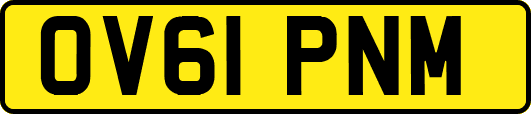 OV61PNM