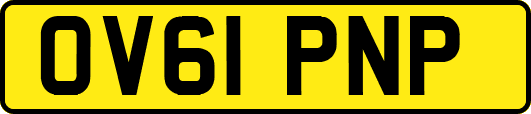 OV61PNP