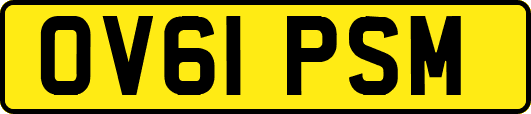 OV61PSM