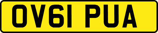 OV61PUA