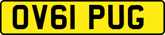 OV61PUG