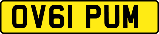 OV61PUM