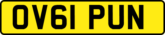 OV61PUN