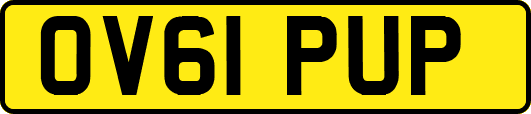 OV61PUP