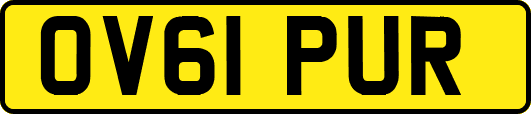 OV61PUR