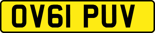OV61PUV