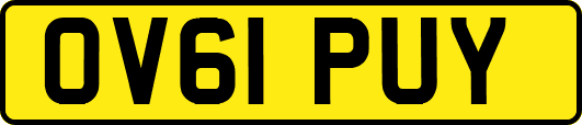 OV61PUY