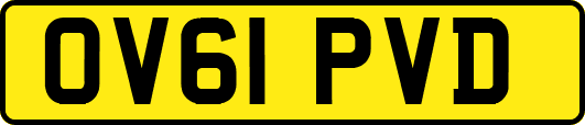 OV61PVD
