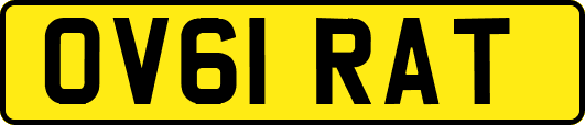 OV61RAT