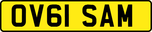 OV61SAM