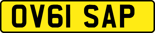 OV61SAP