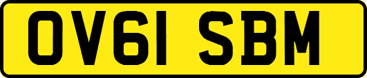 OV61SBM