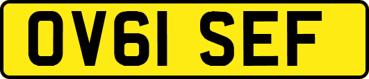 OV61SEF