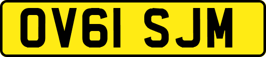 OV61SJM