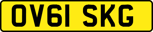 OV61SKG
