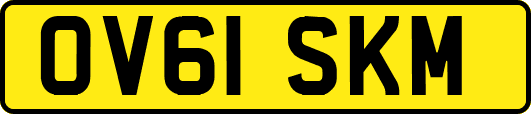 OV61SKM