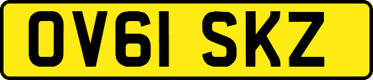 OV61SKZ