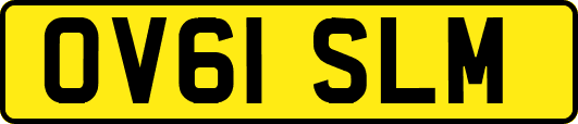 OV61SLM