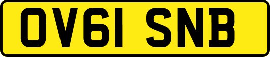 OV61SNB