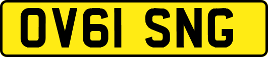 OV61SNG