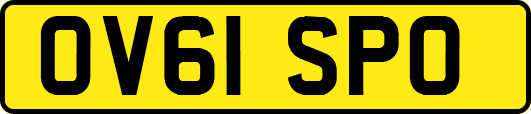 OV61SPO