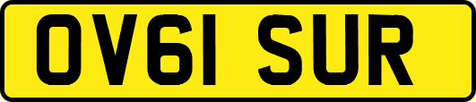 OV61SUR