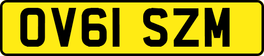 OV61SZM