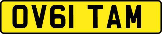 OV61TAM