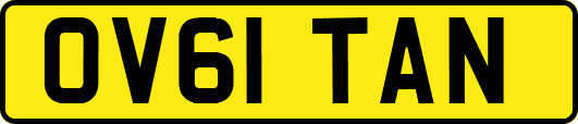 OV61TAN