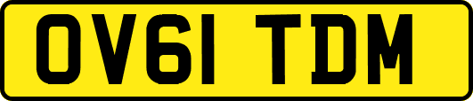 OV61TDM