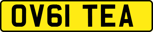 OV61TEA
