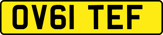 OV61TEF