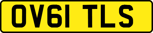 OV61TLS