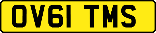 OV61TMS