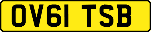 OV61TSB
