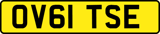 OV61TSE
