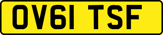 OV61TSF
