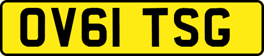 OV61TSG