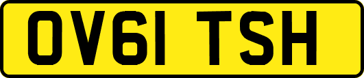 OV61TSH
