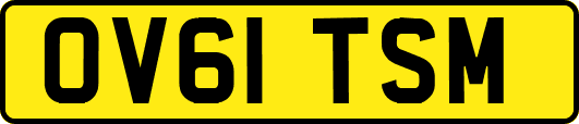 OV61TSM