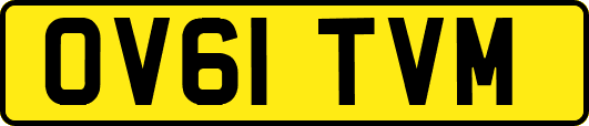 OV61TVM