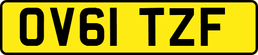OV61TZF